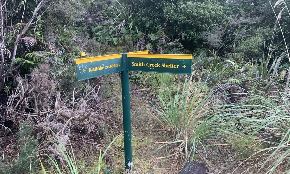 Dobson Loop, Wellington
