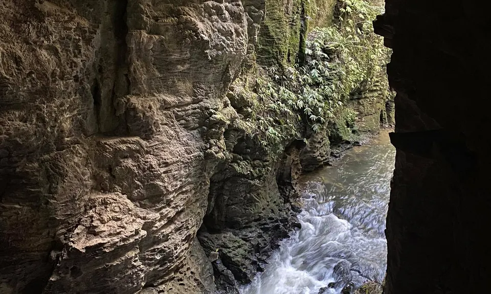 Waitomo Wander, Waikato