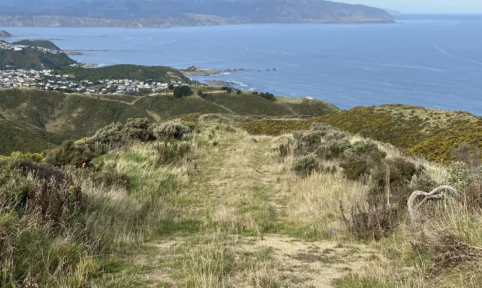Spooky Gully and the Rocky Shore, Wellington