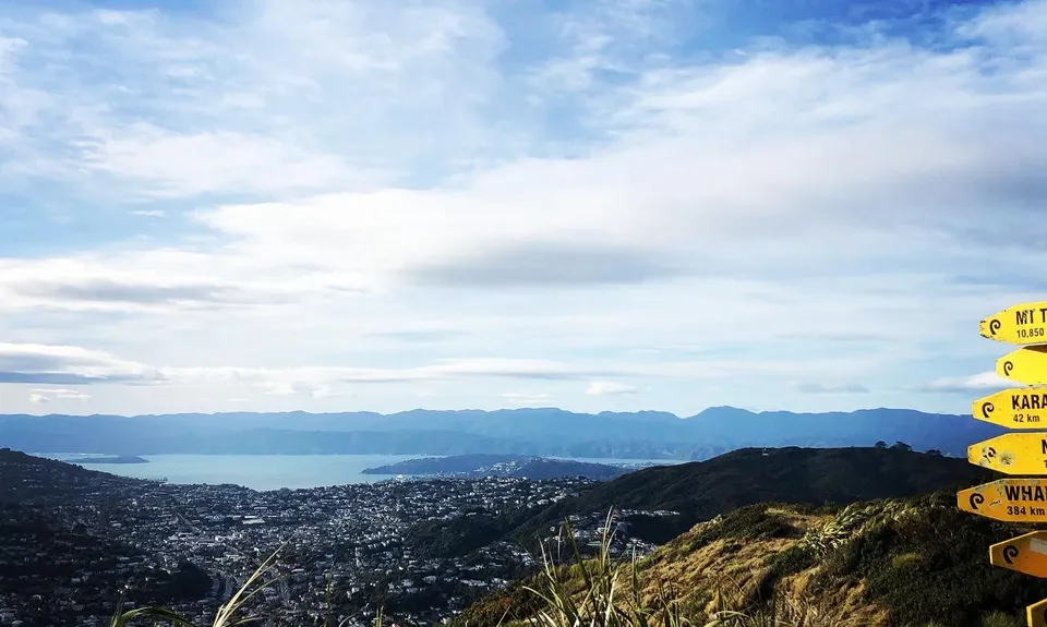 Swing Into Action, Wellington