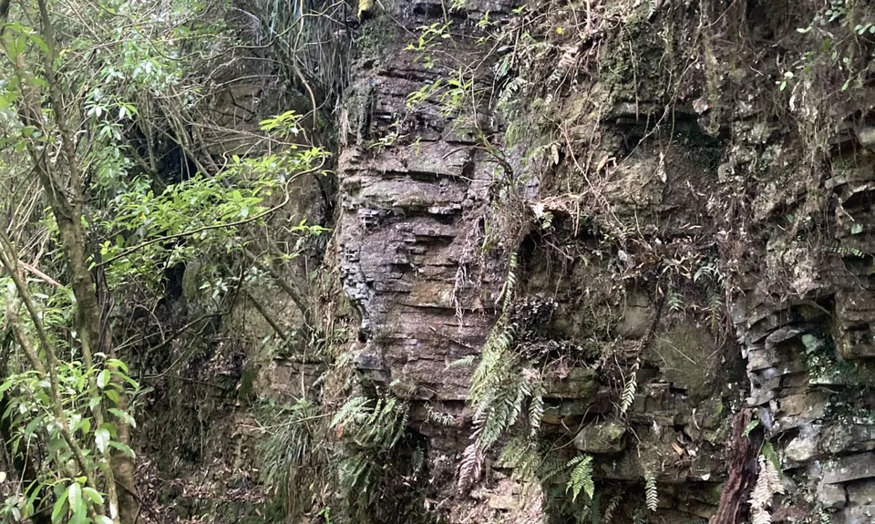 Lindemann's Loop, Bay of Plenty