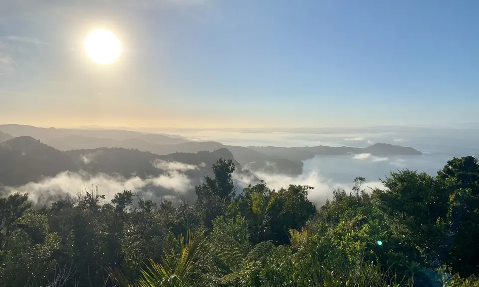 Karamatura Loop, Auckland