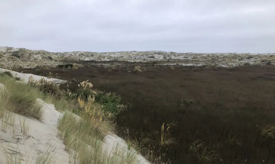 Farewell Spit Loop, Tasman