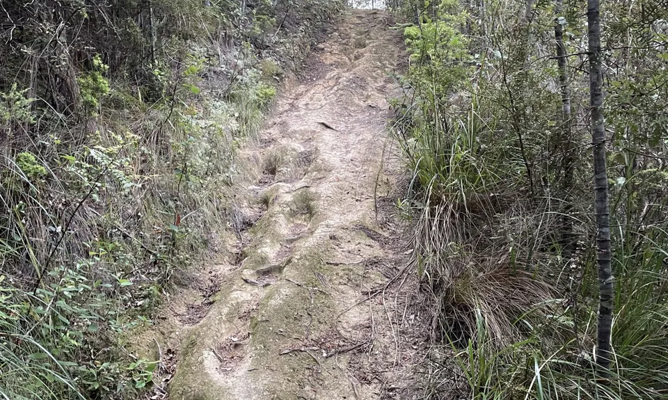 Paihia Lookout Track +, Northland