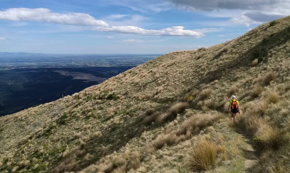 Double Mt Grey, Canterbury