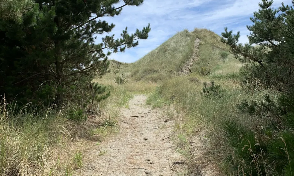 Dune Bugging, Canterbury
