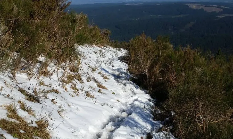 Double Mt Grey, Canterbury