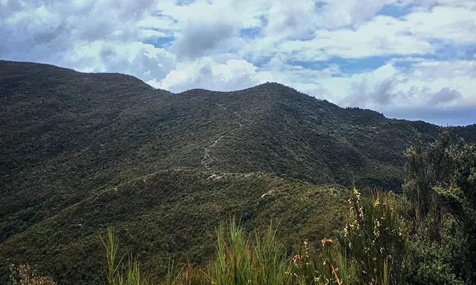 Silverpeaks Classic Loop, Otago