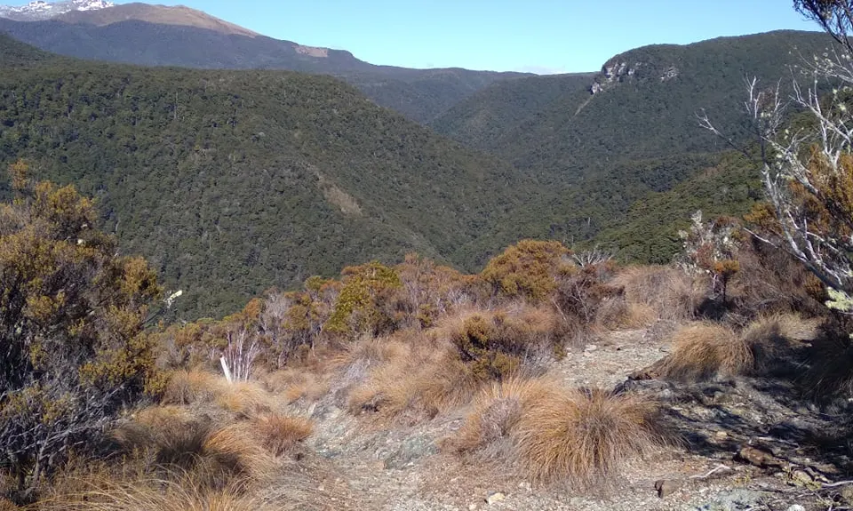 Asbestos Cobb Loop, Tasman