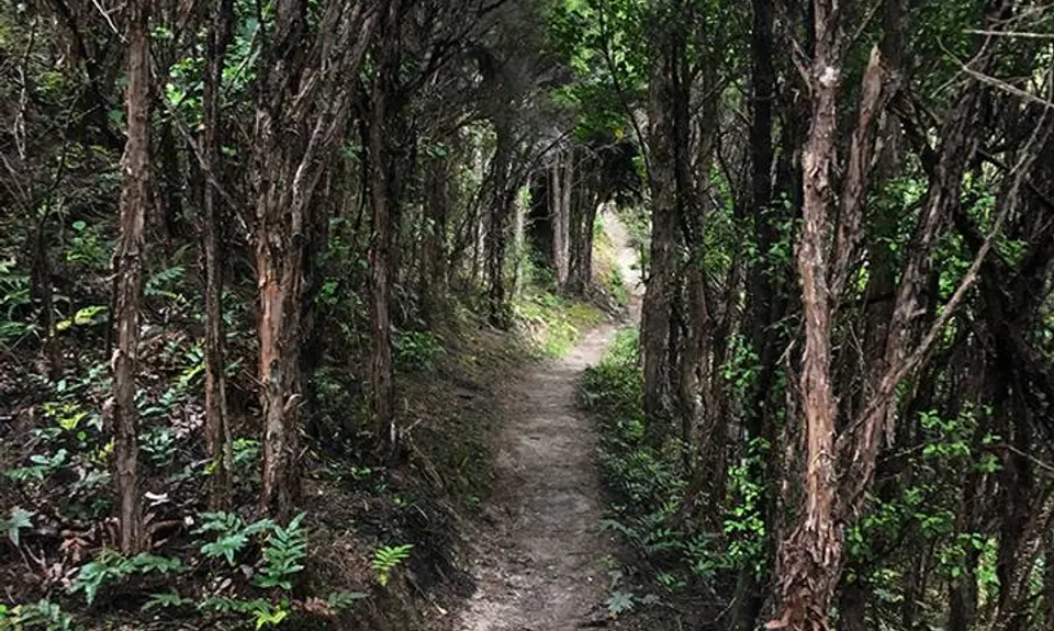 Silverpeaks Classic Loop, Otago