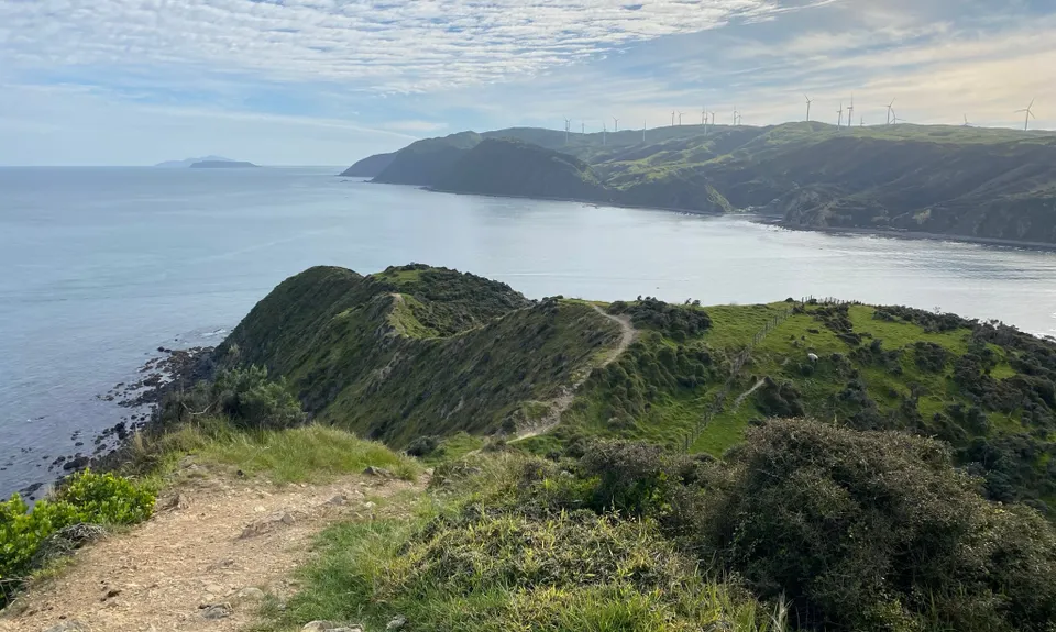 Makara Walkway, Wellington