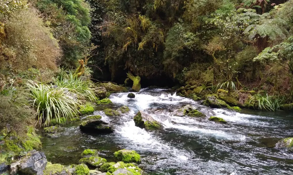 Resurgence Bound , Tasman