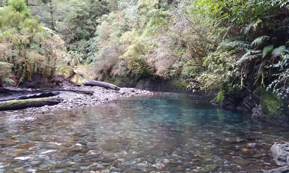 Resurgence Bound , Tasman