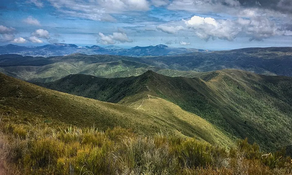 Silverpeaks Classic Loop, Otago