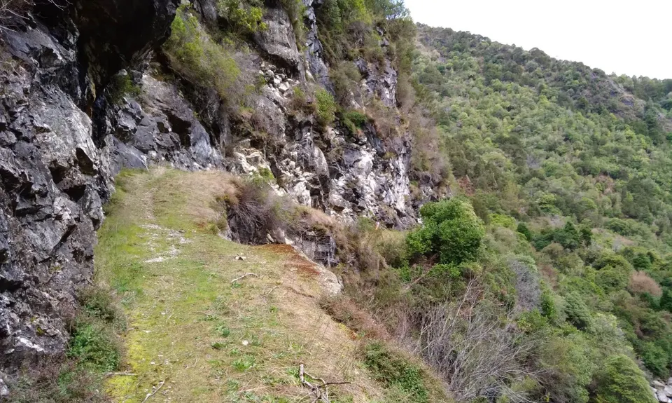 Resurgence Bound , Tasman