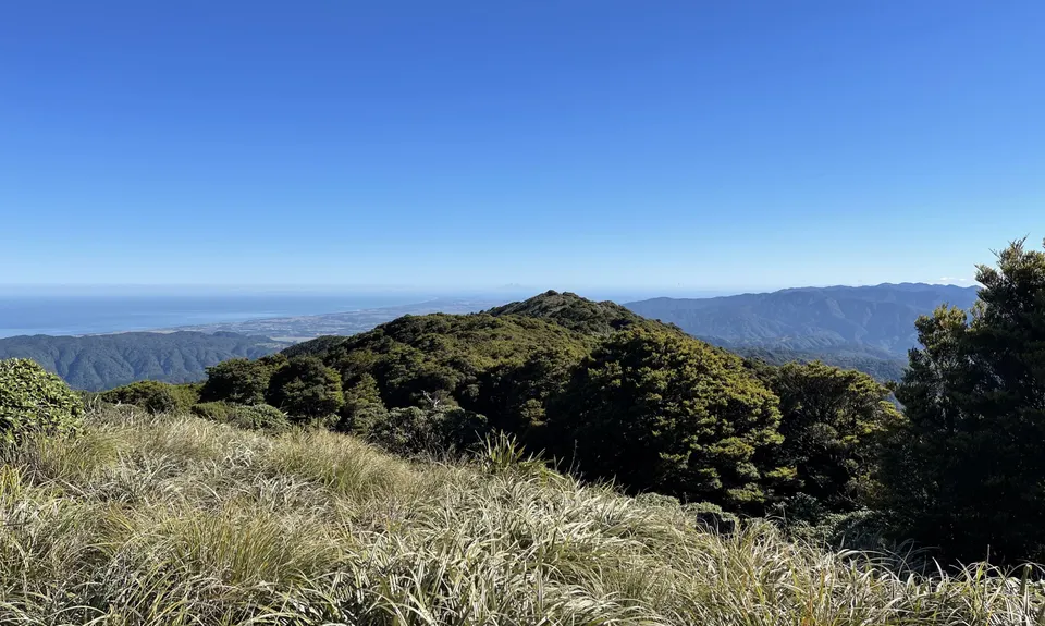Kapakapanui