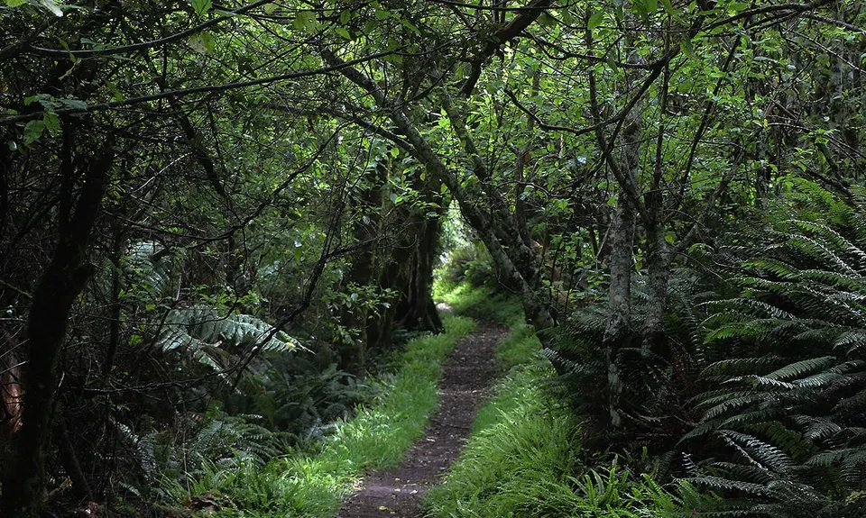 Bell Hill Loop, Hawkes Bay