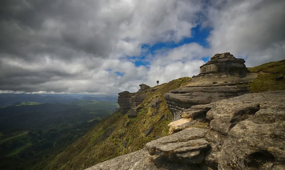 Bell Hill Loop, Hawkes Bay