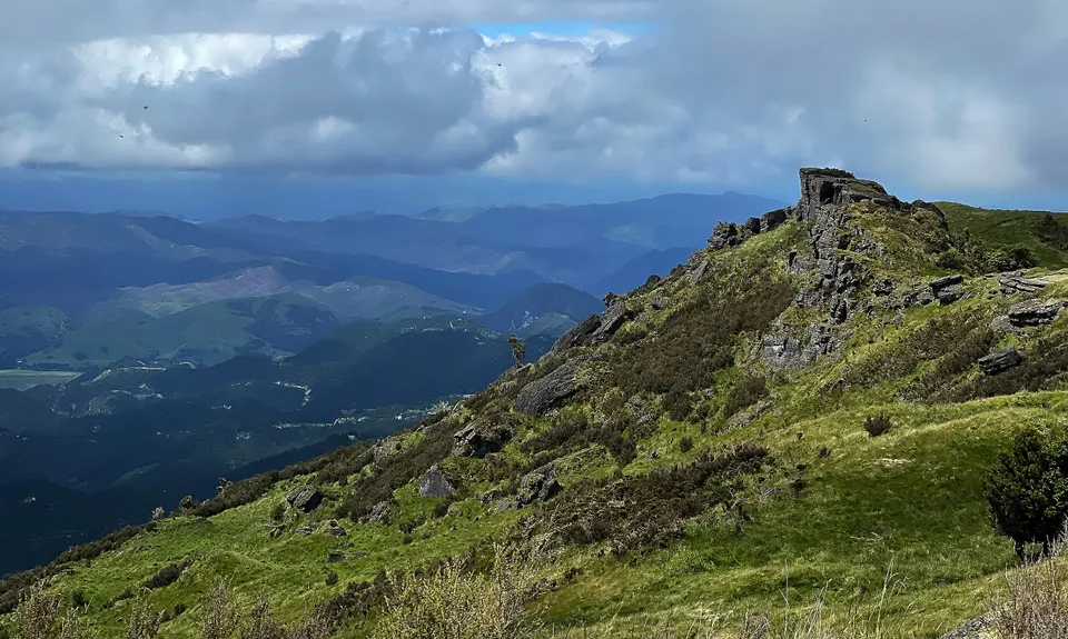 Bell Hill Loop, Hawkes Bay