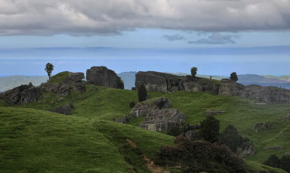 Bell Hill Loop, Hawkes Bay