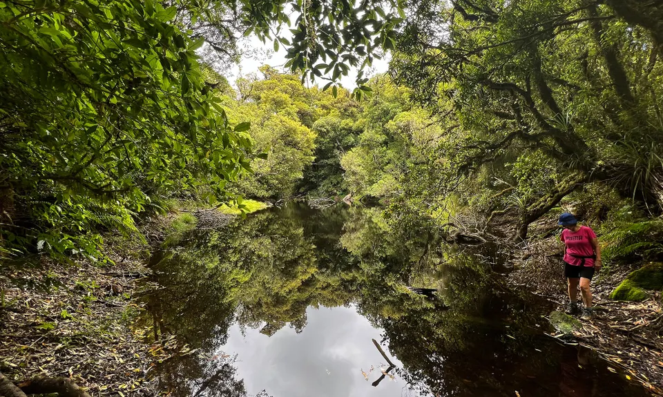 Mokoihaha Track Plus, Bay of Plenty