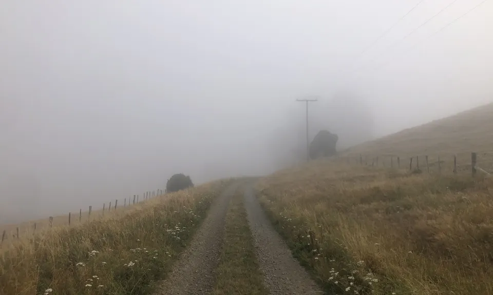 Okuti to Hilltop Amble, Canterbury