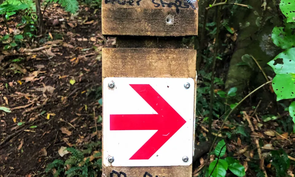 Linking the Reserves, Wellington