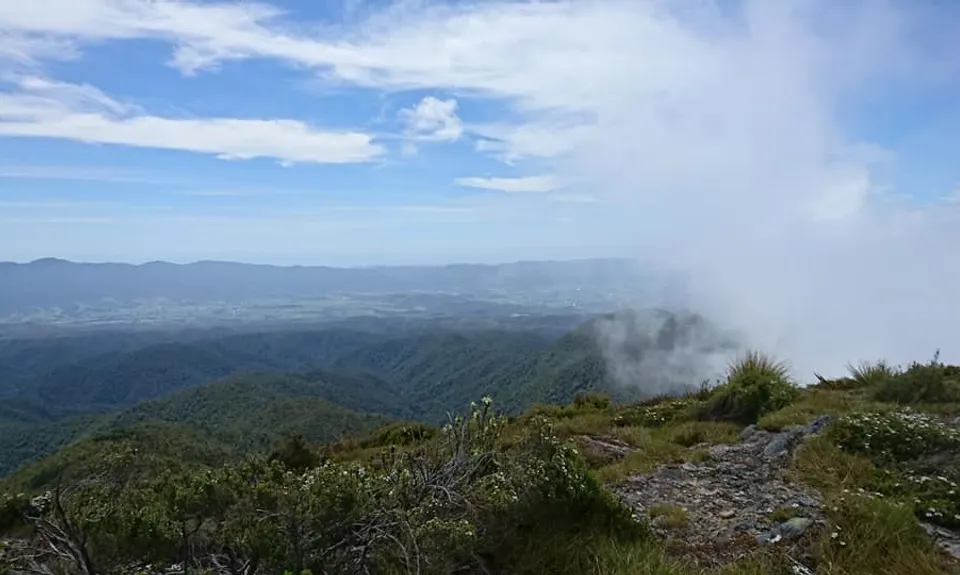Parapara Peak, Tasman