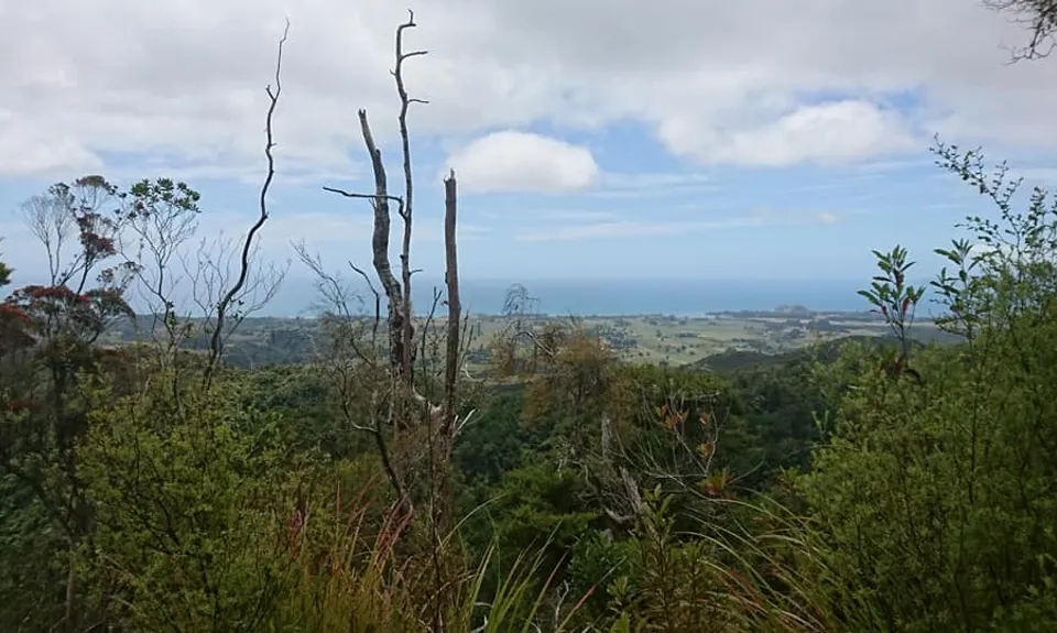 Parapara Peak, Tasman