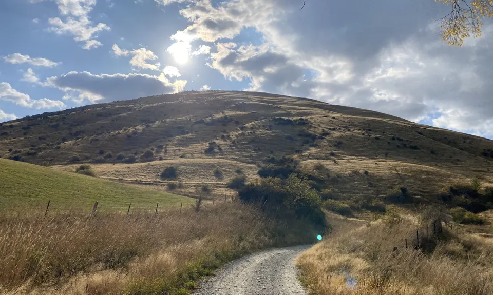 Beat Beetham , Otago