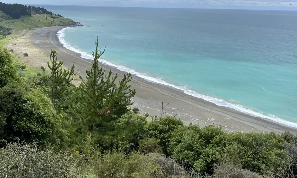 Manuka Bay Track, Canterbury