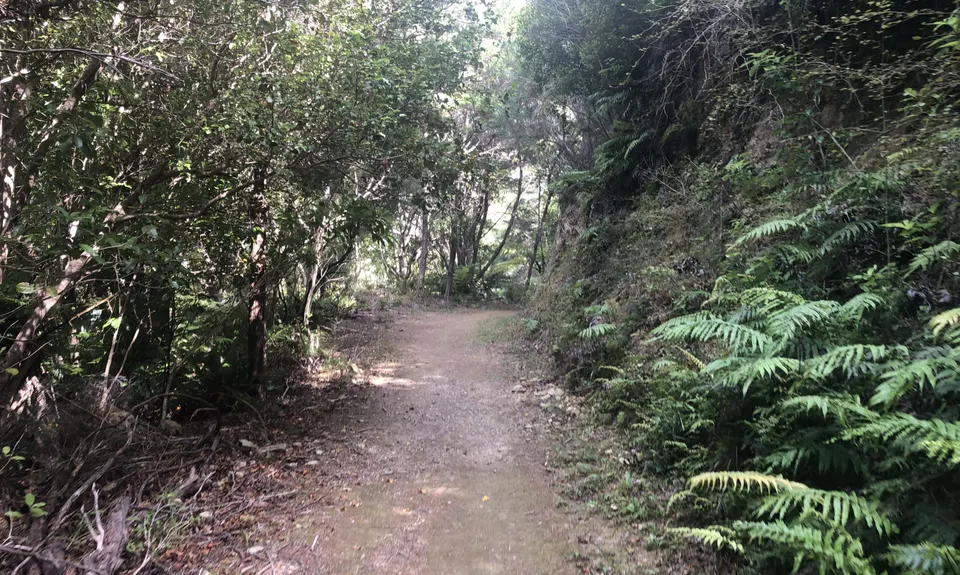 Archer Track, Marlborough