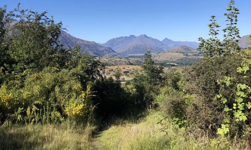 New Chums Loop, Otago