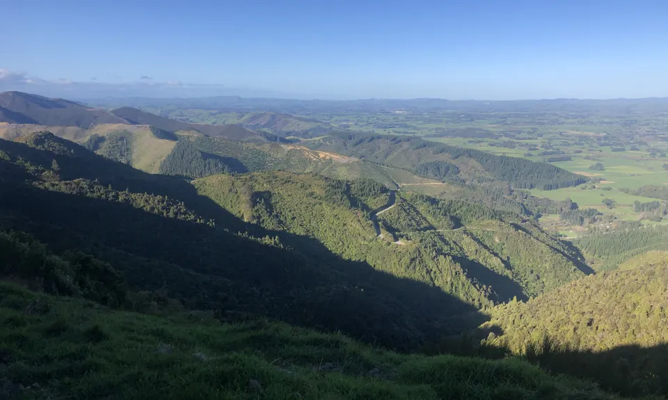 Mt Dick Loop, Wellington