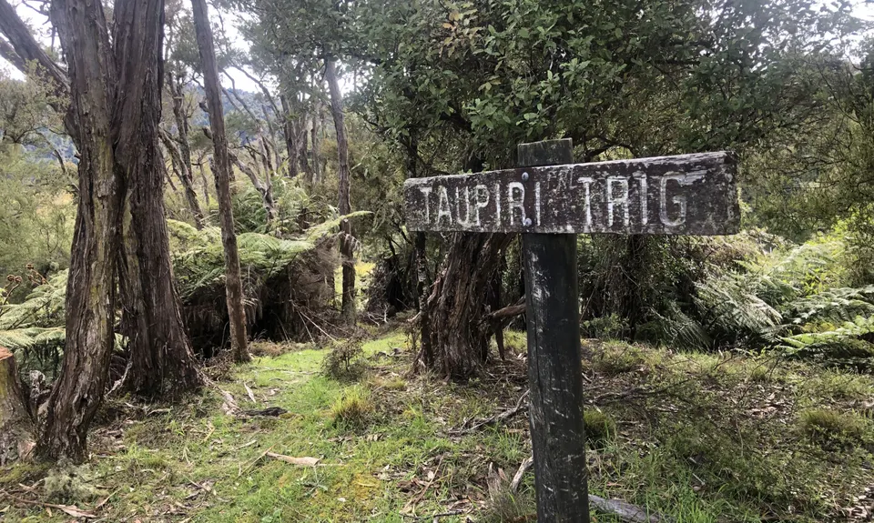Atene Skyline Track, Manawatu - Wanganui