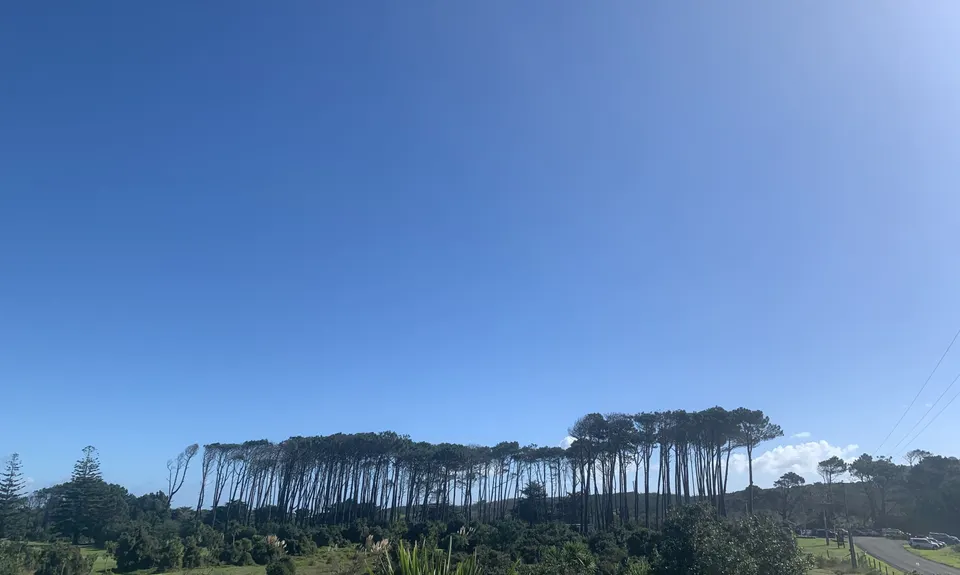 Muriwai Beach and Trail, Auckland