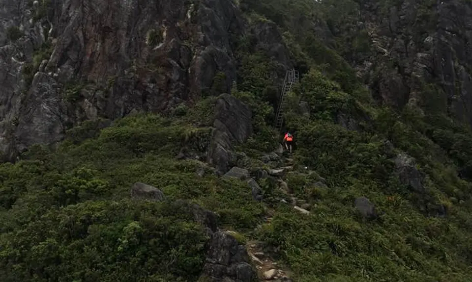 Pinnacles & Billy Goat, Waikato