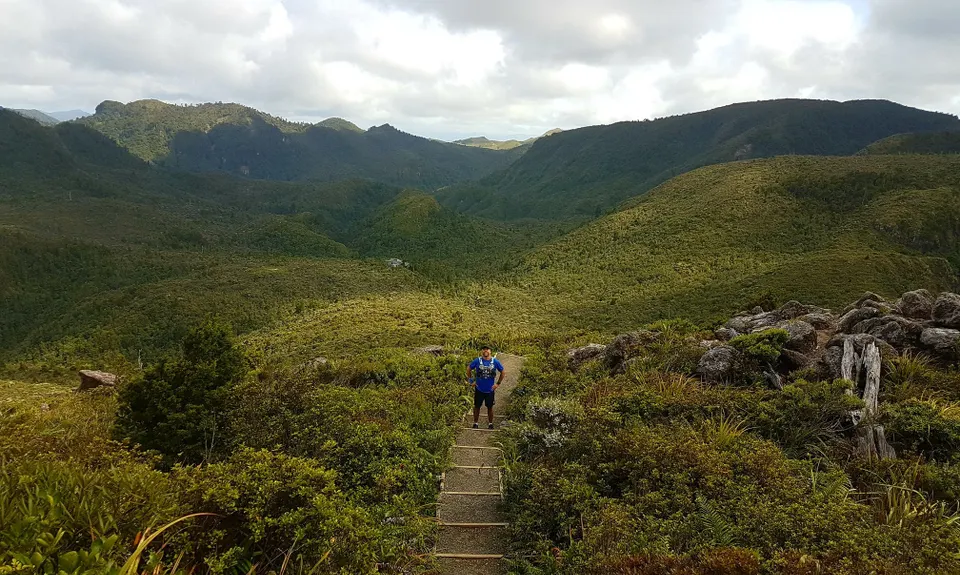 Pinnacles & Billy Goat, Waikato