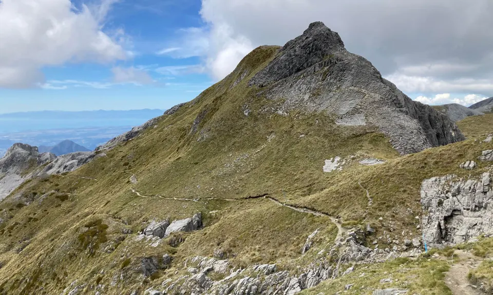 Mt Arthur Up & Back, Tasman