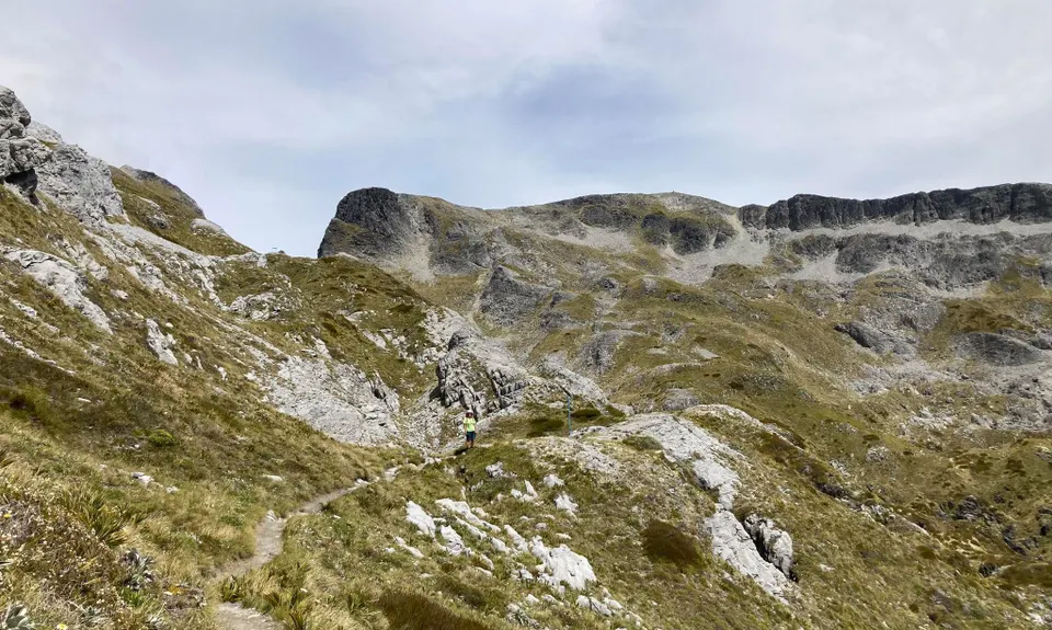 Mt Arthur Up & Back, Tasman