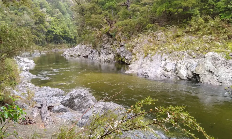 Murderous Maungatapu, Nelson