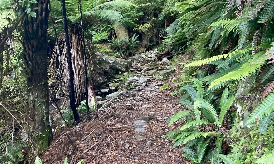 The golden Waikakaho trail, Marlborough