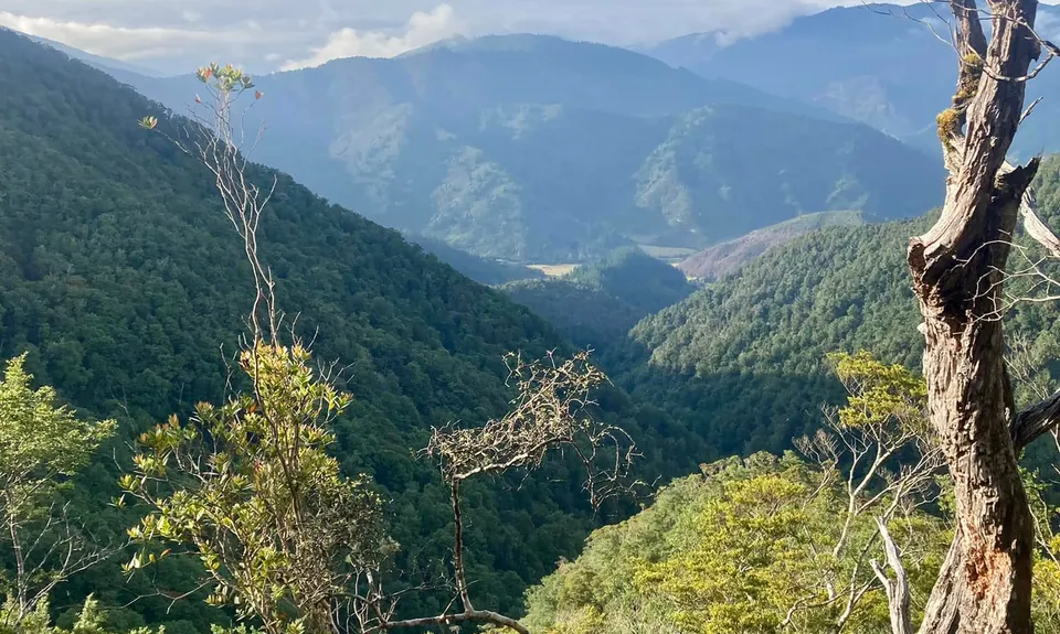 The golden Waikakaho trail, Marlborough