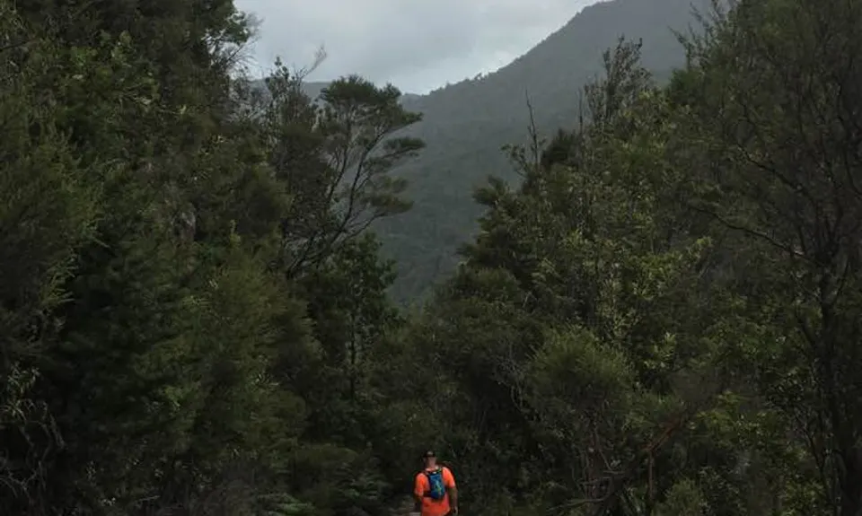 Pinnacles & Billy Goat, Waikato