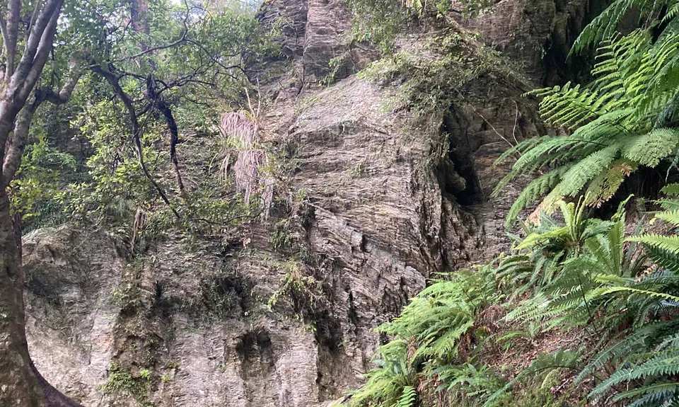 The golden Waikakaho trail, Marlborough