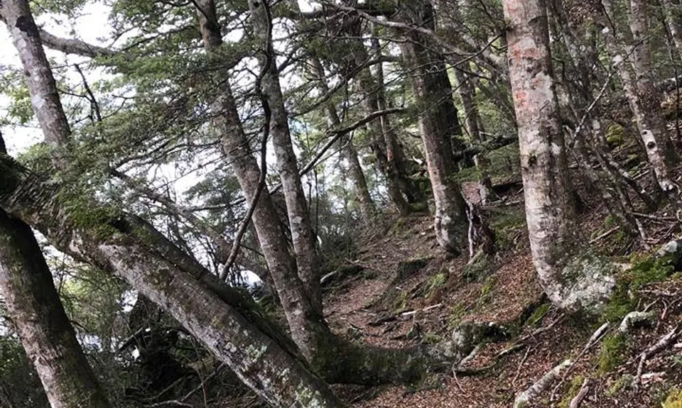 South Mavora Lake Trail, Southland