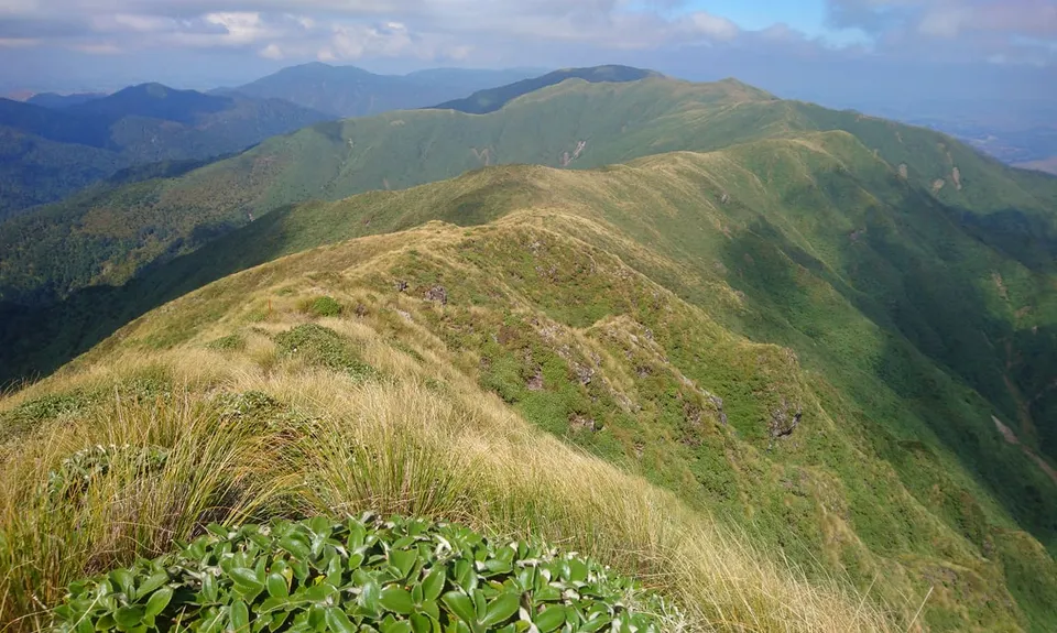 Knights - Shorts loop track with Toka peak, Manawatu - Wanganui