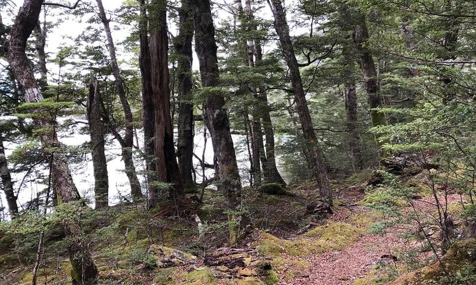 South Mavora Lake Trail, Southland