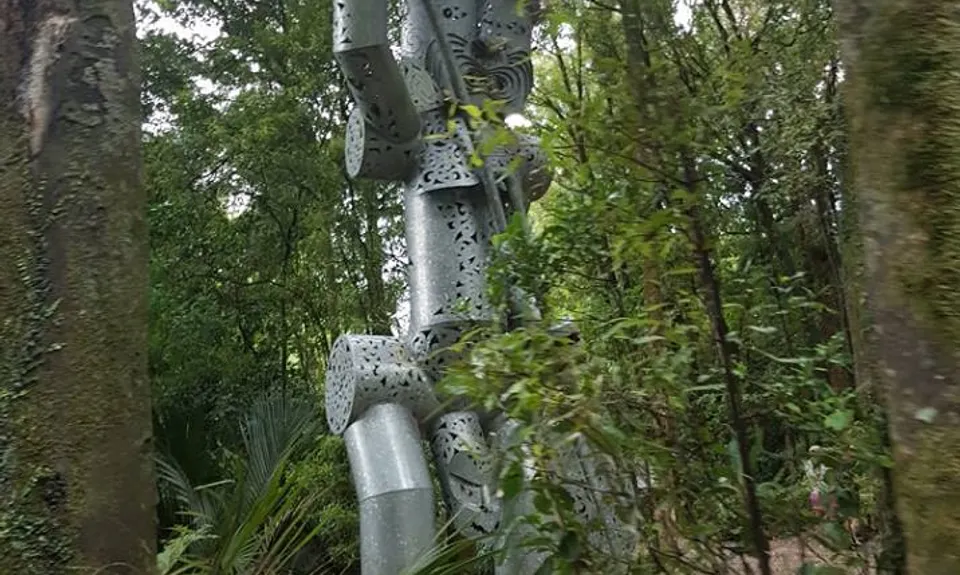 Manawatu Gorge Track, Manawatu - Wanganui