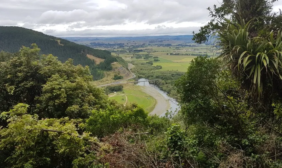 Manawatu Gorge Track, Manawatu - Wanganui